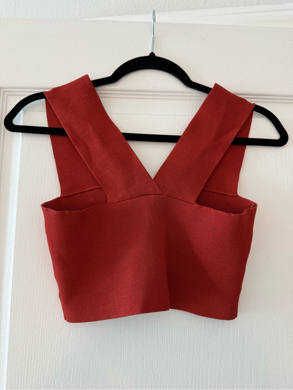 A.L.C. Deep V-Back Rust Crop Top - Picture 2 of 3